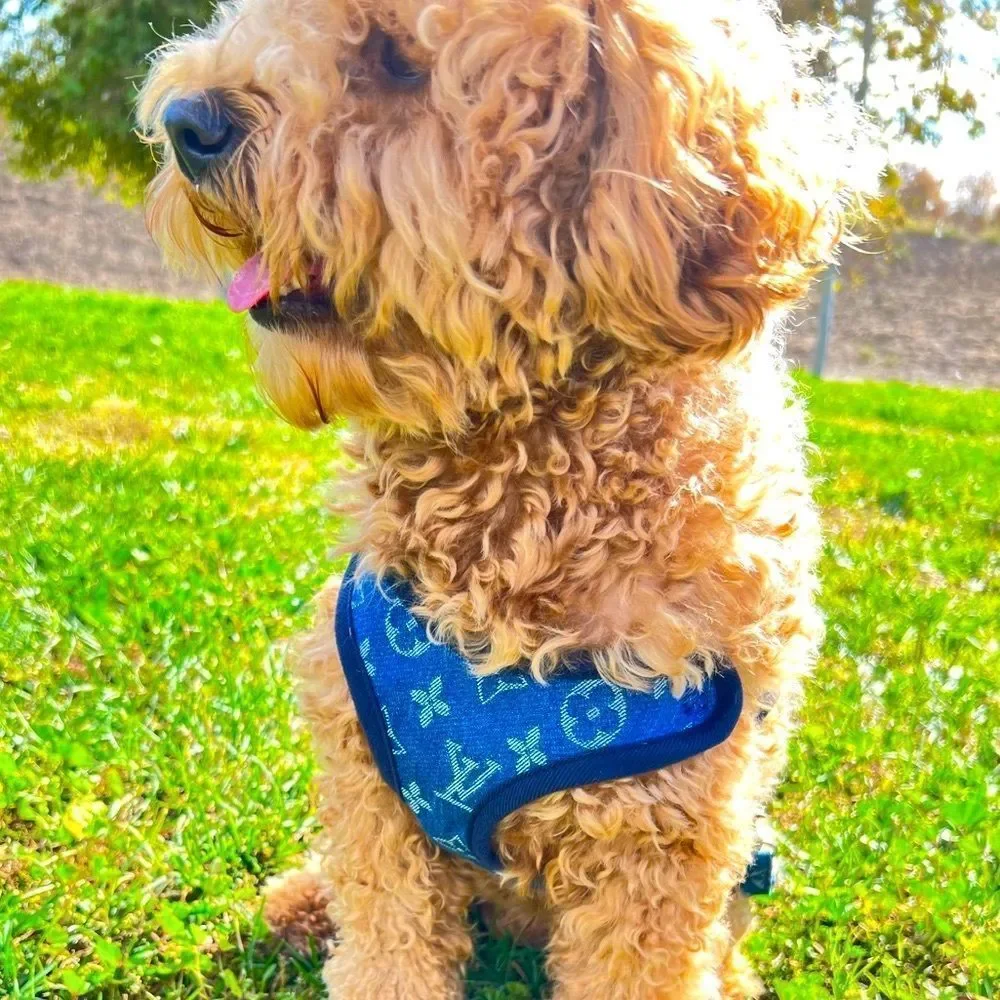 Stylish LV Doggie Harness Set - Picture 2 of 10